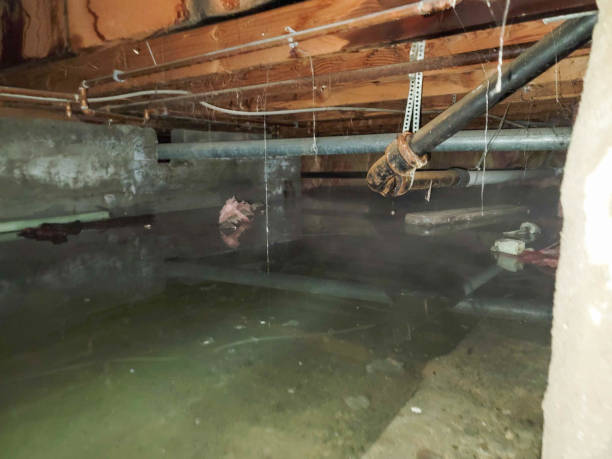 Best Water damage restoration near me  in Vaville, CA