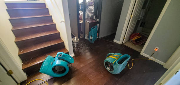 Best Water damage restoration near me  in Vaville, CA