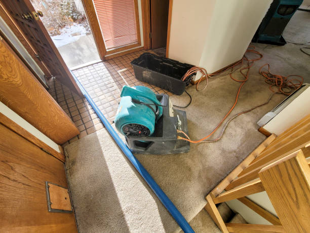 Best Professional water damage repair  in Vaville, CA